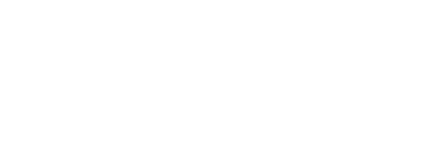 BONK Project #1...